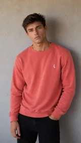 Buzo de cuello redondo en color salmón, con diseño liso y pequeño logo bordado en el pecho.
