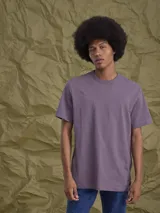 Remera de algodón pesado de 260 gramos, con cuello redondo y mangas cortas, de corte holgado y diseño liso.