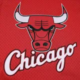Musculosa de básquet roja con cuello y sisas en negro. Estampado frontal con el logo de los Chicago Bulls y la palabra "Chicago" en blanco.
