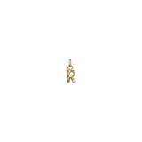 Dije de aleación de metales bañado en oro de 18k con forma de la letra R y argolla para colgar.