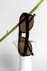 Lentes de sol con montura gruesa color carey y lentes marrones.