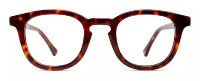 Armazón para lentes de receta de acetato color carey, con forma panto, puente de botella y patillas con núcleo de metal plateado.