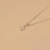 Conjunto de collar y dije de huella de perro en plata 925. El collar tiene una cadena de eslabones finos.