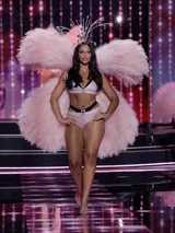 Bralette sin forro ni varillas, modelo plunge de color rosado con escote en V profundo y silueta triangular. Presenta cristales brillantes en toda la prenda y una banda elástica inferior con parche del logotipo de diamantes de imitación.