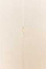 Vestido midi color crema con cuello redondo y escote en pico. Presenta mangas sisa, falsos botones dorados en el frente y un falso cinturón elástico con hebilla dorada. Cierre trasero con cremallera oculta.