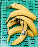 Collar con cordón negro grueso y dije redondo plateado con textura marcada.