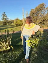 Sweater tejido a mano en mohair, de cuello redondo y manga larga. Presenta un diseño de canesú con patrón geométrico en tonos amarillo y blanco sobre una base de color marrón.