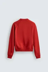 Sudadera de corte relajado con efecto lavado, confeccionada en algodón con interior de rizo. Presenta cuello redondo, manga larga raglán y acabados en rib.