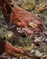 Anillo de diseño orgánico y macizo con forma irregular, elaborado en metal con acabado brillante. Presenta una estructura abierta que permite su ajuste.