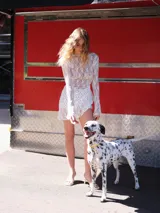 Vestido corto confeccionado en encaje con diseño de mangas largas acampanadas y corte ajustado.