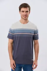 Remera de manga corta con diseño de franjas horizontales en tonos de gris, azul y beige, con escote redondo y pequeño bordado en el pecho.