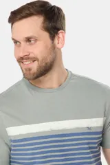 Remera de manga corta gris con rayas horizontales azules y blancas.