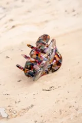 Broche de acrílico para el pelo con diseño abstracto multicolor.