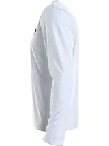 Remera de manga larga color gris claro con cuello redondo y logo de Calvin Klein estampado en el pecho.