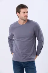 Remera manga larga lisa, color gris claro, con cuello redondo y logo bordado en el pecho.