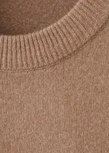 Jersey de punto medio color tostado, de corte recto, con cuello redondo y mangas largas con ribetes en canalé.