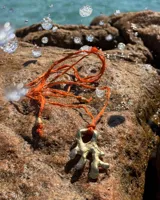 Collar con dije de bronce macizo con forma orgánica irregular, similar a un coral, suspendido de un cordón negro de seda natural anudado.