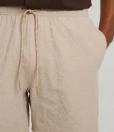 Bermuda playera masculina de corte básico, confeccionada en microfibra texturizada. Presenta cintura elástica con cordón ajustable y bolsillos laterales.