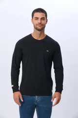 Remera manga larga lisa, color gris claro, con cuello redondo y logo bordado en el pecho.