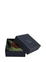 Pañuelo de seda natural Rockford, con diseño estampado en tonos marrón y verde.