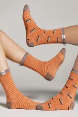 Pack de dos pares de medias de media caña en color naranja y gris. Un par presenta diseño estampado de perros salchicha y el otro par cuenta con diseño de rayas. Ambas tienen puntera, talón y elástico superior en tono gris con detalles en contraste.