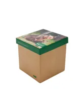 Pack de tres pares de medias de largo medio, confeccionadas en fibra de bambú y spandex, presentadas en una caja temática con diseño de oso.