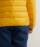 Campera puffer ultra ligera de Blue Steel, color rojo, con capucha, cierre frontal y bolsillos laterales con cremallera. Diseño acolchado con relleno sintético.