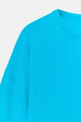 Remera de manga larga color celeste, de corte regular fit y cuello redondo con diseño liso.