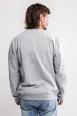 Buzo gris de felpa con cuello redondo y estampado frontal con la palabra "DUOTONE" y un paisaje.