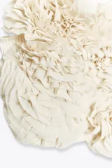 Top crop color blanco hueso con escote recto y hombros descubiertos. Presenta una aplicación de flores tridimensionales en relieve cubriendo toda la parte delantera.