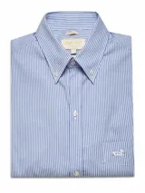 Camisa de manga larga RKF con estampado de rayas verticales azules y blancas. Presenta cuello americano con botones, bolsillo frontal en el pecho con logo bordado y cierre frontal con botones.