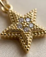 Collar de bronce con cadena fina dorada y dije en forma de estrella de mar con apliques de microzircones.