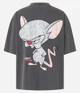 Remera gris de corte boxy, confeccionada en tejido de punto con efecto desteñido. Presenta cuello redondo, mangas cortas y estampado de Pinky y Cerebro en la espalda.