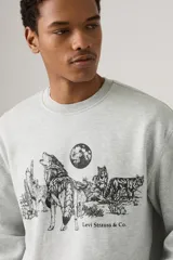 Buzo gris de corte relajado con cuello redondo y mangas largas. Estampado frontal con lobos, cactus y luna.