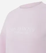 Buzo de algodón con felpa, color rosado, con cuello redondo, mangas largas y puños y bajo en rib. Presenta un estampado localizado en el pecho.