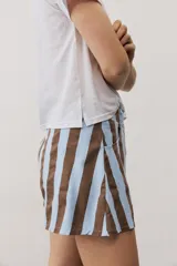 Short con diseño de rayas verticales en tonos celeste y marrón, con bolsillos delanteros y cierre frontal de botón y cremallera.