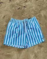 Short de baño celeste y blanco a rayas verticales, con cintura elástica ajustable con cordón negro y logo de la marca en la pierna izquierda.