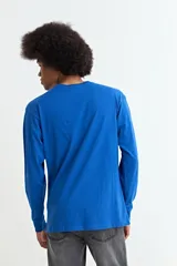 Remera de manga larga, color negro, con cuello redondo y corte recto.