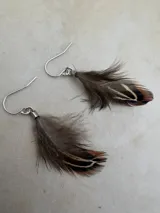 Aros colgantes con gancho de plata y plumas naturales en tonos marrones, negros y crema.