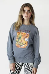 Buzo gris con cuello redondo y mangas largas. Estampado frontal con la palabra "Arizona" y un diseño del desierto con cactus, señal de la Ruta 66 y un correcaminos.