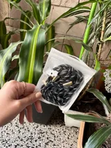 Correa para celular de soga trenzada en color fucsia con terminales metálicas plateadas y mosquetón.