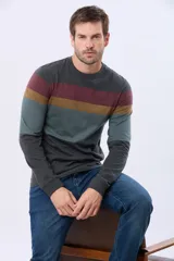 Remera de manga larga con cuello redondo y diseño de rayas horizontales en azul marino, azul claro, beige y verde oscuro. Incluye un pequeño logo bordado en el pecho.