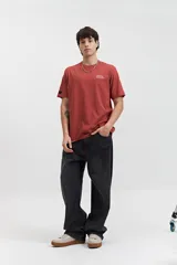 Remera de manga corta color terracota con estampado frontal blanco que dice "MISTRAL Architecture of Reality REG. TM / EST. 76". Tiene un fit regular y está confeccionada en algodón.