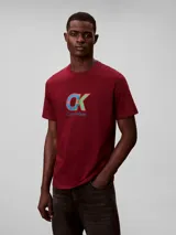 Remera de manga corta y cuello redondo, confeccionada en algodón. Presenta un estampado gráfico en el pecho con el monograma de la marca en colores azul, verde y rojo, junto con el logo de Calvin Klein debajo.