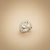 Anillo tipo sello de plata 925 con superficie texturizada y símbolo de psicología en relieve de oro 18k.
