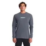 Remera gris de manga larga con logo estampado en el pecho.