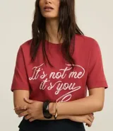 Remera de algodón color ladrillo con cuello redondo y mangas cortas. Estampado frontal con la frase "It's Not Me It's You" en letras cursivas blancas.