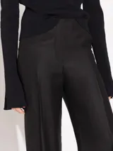 Pantalón negro de corte oxford, estilo sastrero con cintura oculta, bolsillos laterales y bolsillo ojal en la espalda.