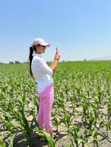 Pantalón de lino color rosa chicle, de corte recto y tiro alto.