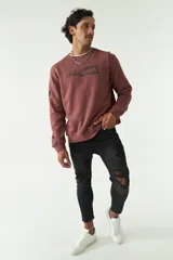 Buzo color ladrillo de felpa con cuello redondo, puños y cintura acanalados, y logo estampado en el pecho.